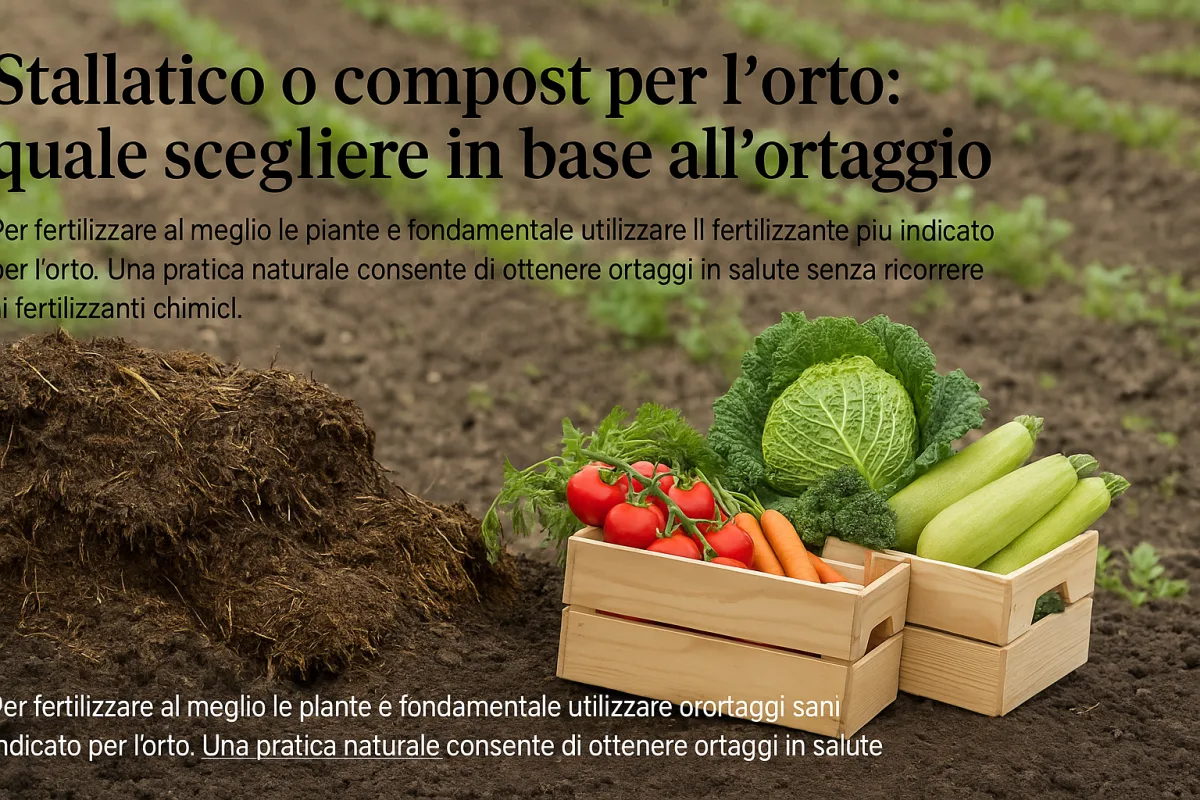 Stallatico o compost per l'orto: quale scegliere in base all'ortaggio