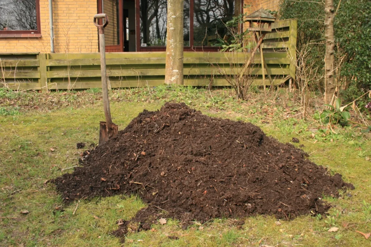 Compost maturo o ancora “caldo”: come capirlo prima di metterlo nell’orto