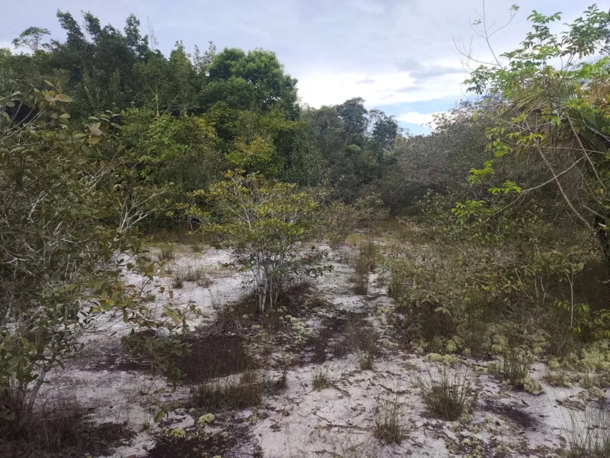 Terreno sabbioso che asciuga troppo in fretta: come leggere struttura e sostanza organica senza inseguire l’acqua