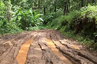 Terreno che resta bagnato per giorni: come distinguere ristagno, compattazione e scarso drenaggio