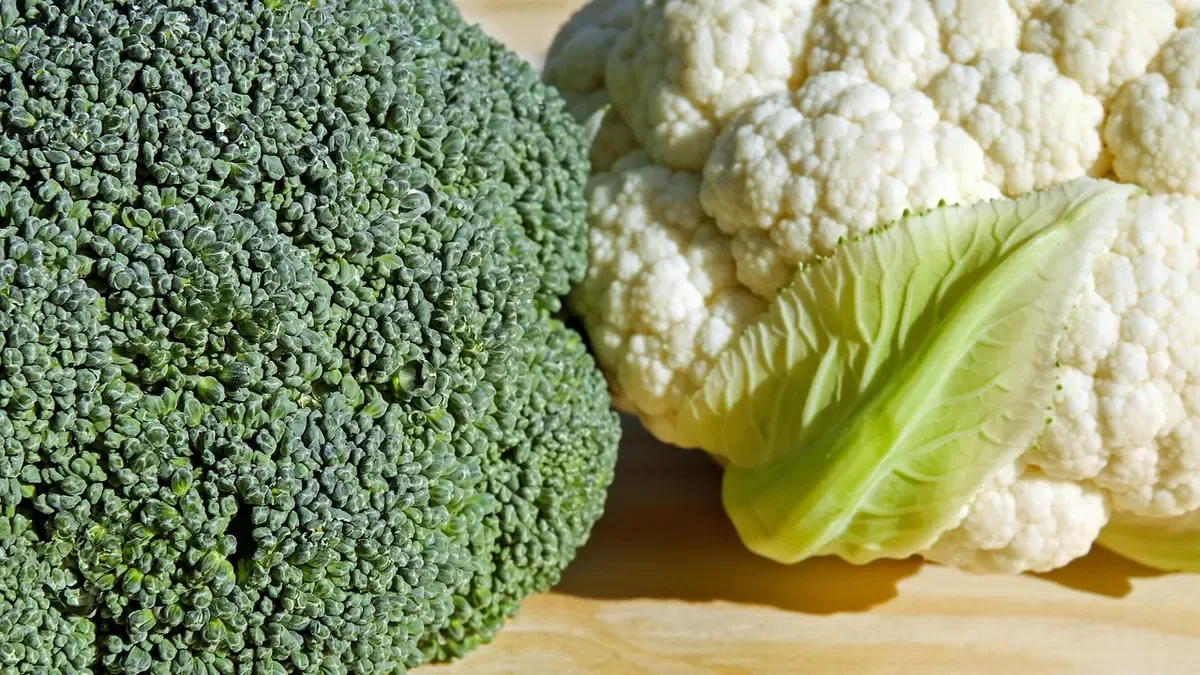 Coltivare cavolfiori in vaso: ecco cosa serve per farli crescere bene