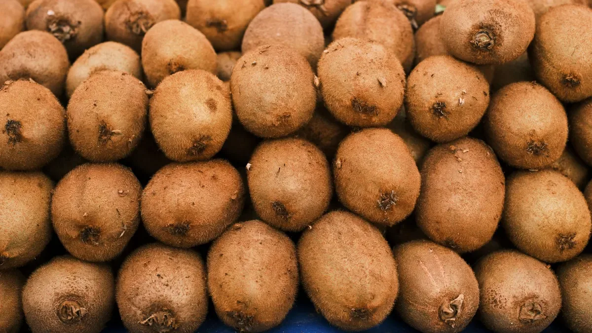 Quando raccogliere i kiwi? I segnali da controllare prima di staccarli dalla pianta