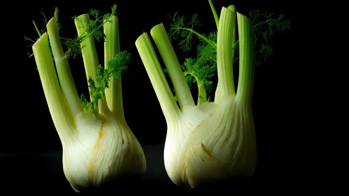 Finocchi con bulbo piccolo: perché succede e cosa controllare prima della raccolta