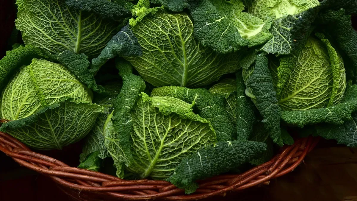Il cavolo nero diventa più dolce dopo il freddo? Ecco cosa succede davvero