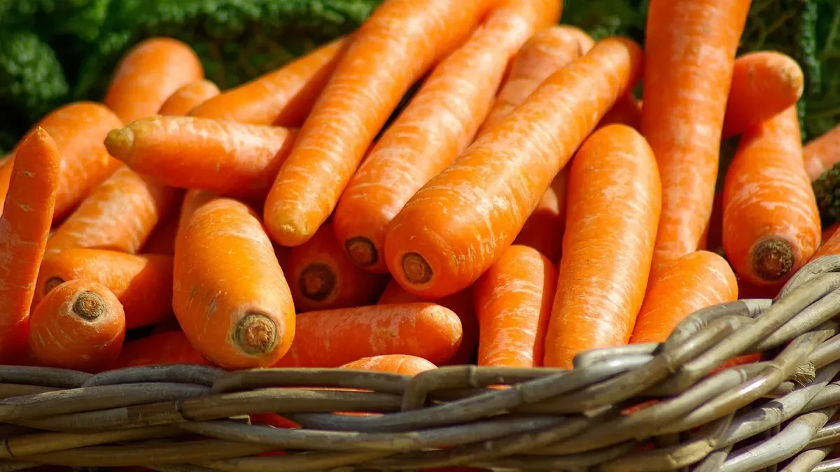 Le carote diventano più dolci con il freddo? Ecco cosa succede davvero