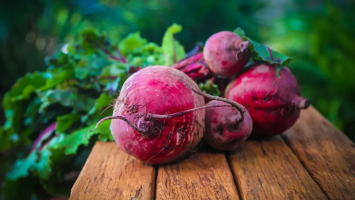 Quando raccogliere le barbabietole rosse? Ecco come riconoscere quelle pronte