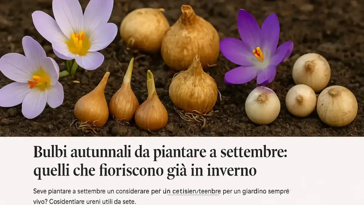 Bulbi primaverili a ottobre: come capire se il terreno è pronto prima di iniziare a piantare