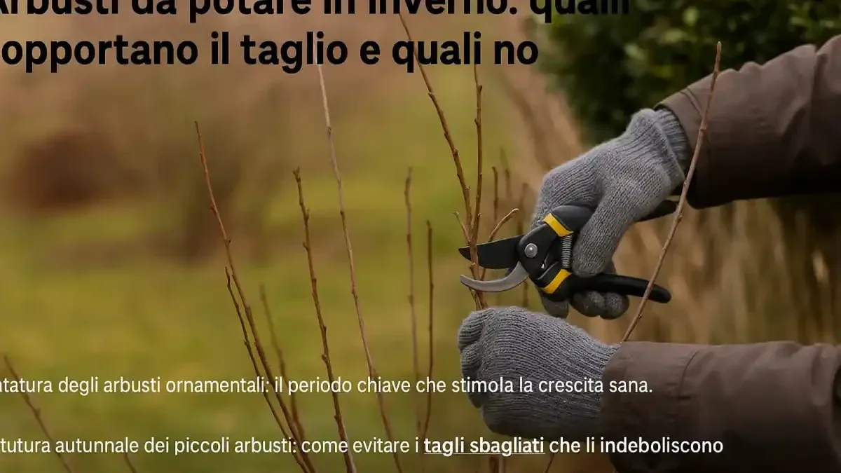Siepe decidua da sistemare prima dell’inverno: quanto tagliare senza inseguire una forma perfetta