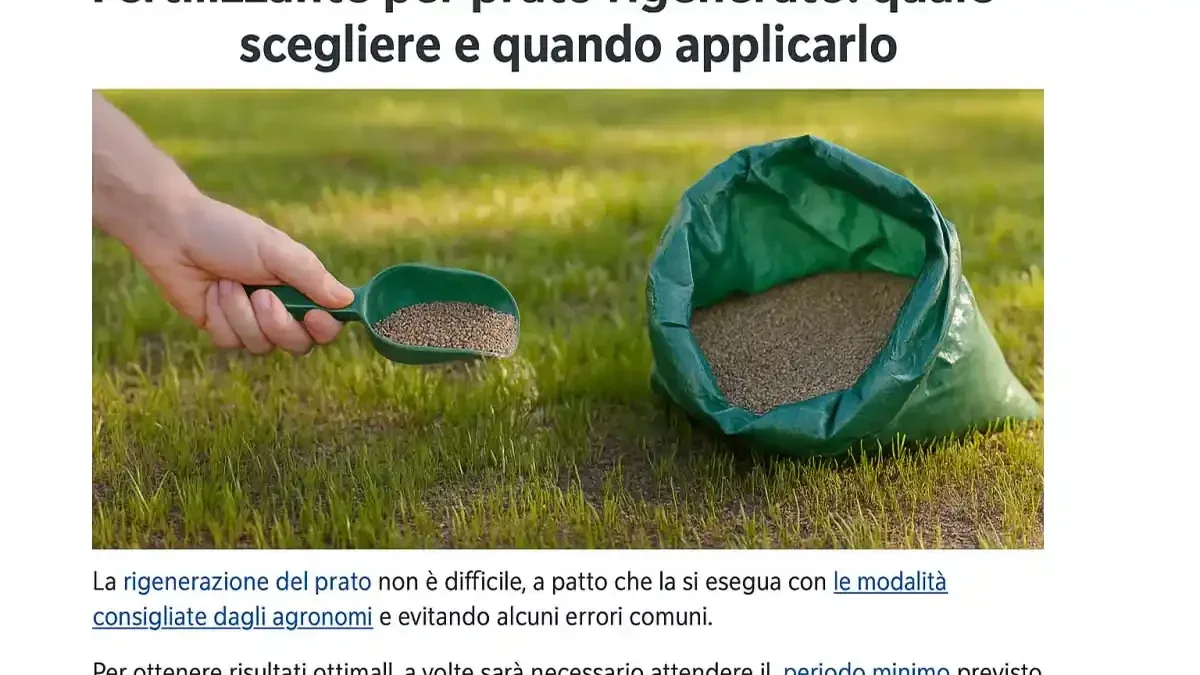 Concime estivo avanzato sul prato: perché a ottobre troppo azoto può essere la scelta sbagliata