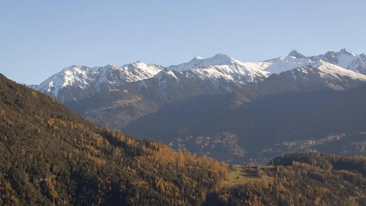 Cassone dell’orto quasi vuoto: cosa lasciare sul terreno durante l’inverno