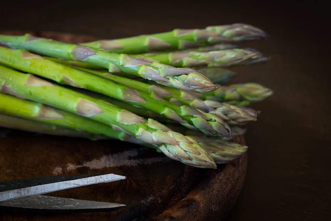 Turioni verdi di asparago, Asparagus officinalis