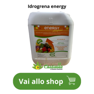 idrogrena energy