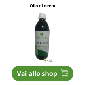 olio di neem