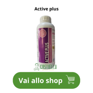 active plus