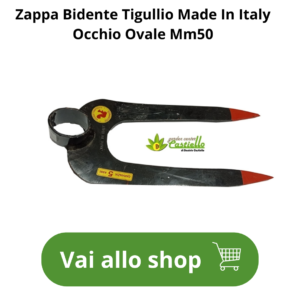zappa bidente tigullio